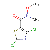 Chemical structure of 2,4-dichloro-N-methoxy-N-methyl-1,3-thiazole-5-carboxamide - CSSB00015342786