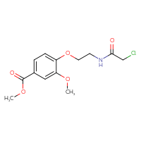 Chemical structure of methyl 4-[2-(2-chloroacetamido)ethoxy]-3-methoxybenzoate - CSSB02360124082