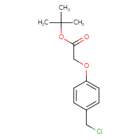 Chemical structure of tert-butyl 2-[4-(chloromethyl)phenoxy]acetate - CSSB00160567435