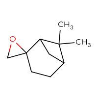 C10H16O