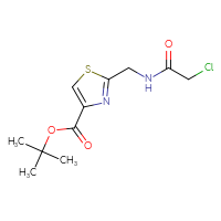 Chemical structure of tert-butyl 2-[(2-chloroacetamido)methyl]-1,3-thiazole-4-carboxylate - CSSB21332044187