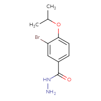 Chemical structure of 3-bromo-4-(propan-2-yloxy)benzohydrazide - CSSB00011084021