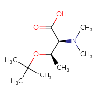 C10H21NO3