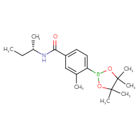 Chemical structure of N-[(2S)-butan-2-yl]-3-methyl-4-(4,4,5,5-tetramethyl-1,3,2-dioxaborolan-2-yl)benzamide - CSSB02522778073