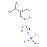 Chemical structure of 1-[3-(1-tert-butyl-1H-pyrazol-4-yl)phenyl]ethan-1-amine - CSSB00050255042