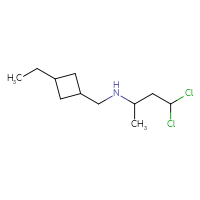 C11H21Cl2N