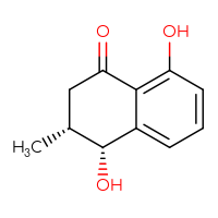 Chemical structure of (3R,4R)-4,8-dihydroxy-3-methyl-1,2,3,4-tetrahydronaphthalen-1-one - CSSB00015759963