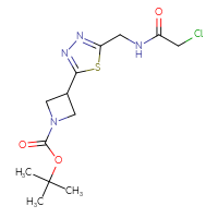Chemical structure of tert-butyl 3-{5-[(2-chloroacetamido)methyl]-1,3,4-thiadiazol-2-yl}azetidine-1-carboxylate - CSSB02477222607