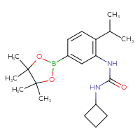 Chemical structure of 3-cyclobutyl-1-[2-(propan-2-yl)-5-(4,4,5,5-tetramethyl-1,3,2-dioxaborolan-2-yl)phenyl]urea - CSSB20784021056