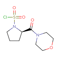 Chemical structure of (2R)-2-(morpholine-4-carbonyl)pyrrolidine-1-sulfonyl chloride - CSSB20994798418