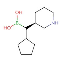 C11H22BNO2