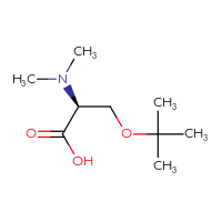 C9H19NO3