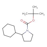 Chemical structure of tert-butyl 2-cyclohexylpyrrolidine-1-carboxylate - CSSB00011924495