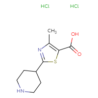 Chemical structure of 4-methyl-2-(piperidin-4-yl)-1,3-thiazole-5-carboxylic acid dihydrochloride - CSSB00025782397