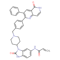 Chemical structure of N-[2-oxo-3-(1-{[4-(5-oxo-3-phenyl-5,6-dihydro-1,6-naphthyridin-2-yl)phenyl]methyl}piperidin-4-yl)-2,3-dihydro-1H-1,3-benzodiazol-5-yl]prop-2-enamide - CSSB00161189035