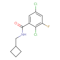 Chemical structure of 2,5-dichloro-N-(cyclobutylmethyl)-3-fluorobenzamide - CSSB06489249355