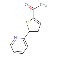 Chemical structure of 1-[5-(pyridin-2-yl)thiophen-2-yl]ethan-1-one - CSSB00021100007