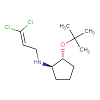 C12H21Cl2NO