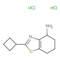Chemical structure of 2-cyclobutyl-4,5,6,7-tetrahydro-1,3-benzothiazol-4-amine dihydrochloride - CSSB00159323536
