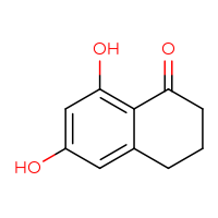 Chemical structure of 6,8-dihydroxy-1,2,3,4-tetrahydronaphthalen-1-one - CSSB00009841656