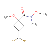 Chemical structure of 3-(difluoromethyl)-N,1-dimethoxy-N-methylcyclobutane-1-carboxamide - CSSB06990740375