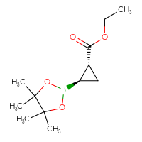 C12H21BO4