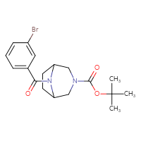 Chemical structure of tert-butyl 8-(3-bromobenzoyl)-3,8-diazabicyclo[3.2.1]octane-3-carboxylate - CSSB00326243212