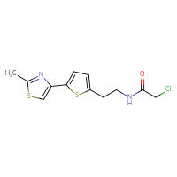 Chemical structure of 2-chloro-N-{2-[5-(2-methyl-1,3-thiazol-4-yl)thiophen-2-yl]ethyl}acetamide - CSSB02007455703