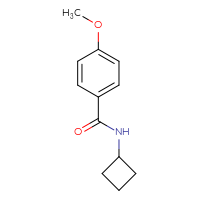 Chemical structure of N-cyclobutyl-4-methoxybenzamide - CSSB00024403145