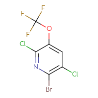 C6HBrCl2F3NO