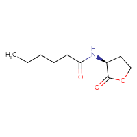 Chemical structure of N-[(3S)-2-oxooxolan-3-yl]hexanamide - CSSB00031588334
