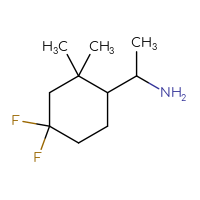 C10H19F2N