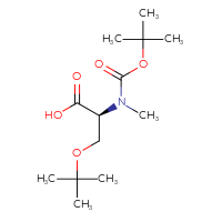 C13H25NO5
