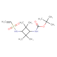 Chemical structure of tert-butyl N-(3-ethenesulfonamido-2,2,4,4-tetramethylcyclobutyl)carbamate - CSMB20969216097