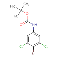Chemical structure of tert-butyl N-(4-bromo-3,5-dichlorophenyl)carbamate - CSSB03496568900