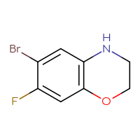 Chemical structure of 6-bromo-7-fluoro-3,4-dihydro-2H-1,4-benzoxazine - CSSB00012568745