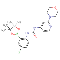 Chemical structure of 3-[4-chloro-2-(4,4,5,5-tetramethyl-1,3,2-dioxaborolan-2-yl)phenyl]-1-[2-(morpholin-4-yl)pyridin-4-yl]urea - CSSB21332155104