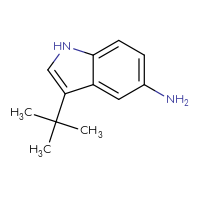 Chemical structure of 3-tert-butyl-1H-indol-5-amine - CSSB00009934780