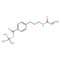 Chemical structure of tert-butyl 4-[3-(prop-2-enamido)propyl]benzoate - CSSB21332041974