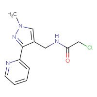 Chemical structure of 2-chloro-N-{[1-methyl-3-(pyridin-2-yl)-1H-pyrazol-4-yl]methyl}acetamide - CSSB00160574966