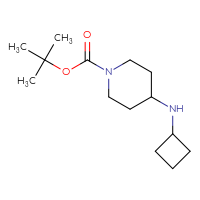 Chemical structure of tert-butyl 4-(cyclobutylamino)piperidine-1-carboxylate - CSSB00011664092