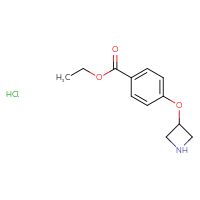 Chemical structure of ethyl 4-(azetidin-3-yloxy)benzoate hydrochloride - CSSB00153394182
