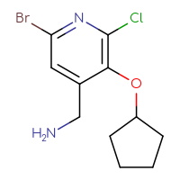 C11H14BrClN2O
