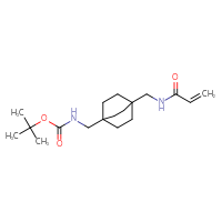 Chemical structure of tert-butyl N-({4-[(prop-2-enamido)methyl]bicyclo[2.2.2]octan-1-yl}methyl)carbamate - CSSB08334161868