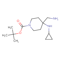 Chemical structure of tert-butyl 4-(aminomethyl)-4-(cyclopropylamino)piperidine-1-carboxylate - CSSB00000047762
