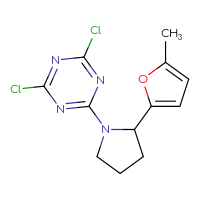 Chemical structure of 2,4-dichloro-6-[2-(5-methylfuran-2-yl)pyrrolidin-1-yl]-1,3,5-triazine - CSSB02214483480