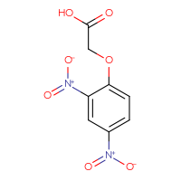 Chemical structure of 2-(2,4-dinitrophenoxy)acetic acid - CSSB00000262351
