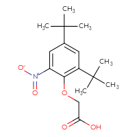 Chemical structure of 2-(2,4-di-tert-butyl-6-nitrophenoxy)acetic acid - CSSB21432453723