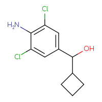 C11H13Cl2NO