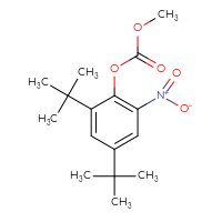 Chemical structure of 2,4-di-tert-butyl-6-nitrophenyl methyl carbonate - CSSB14948215411